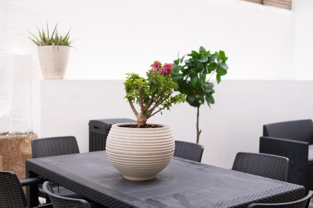 Sublet Tlv 270 Apartment Тел Авив Екстериор снимка